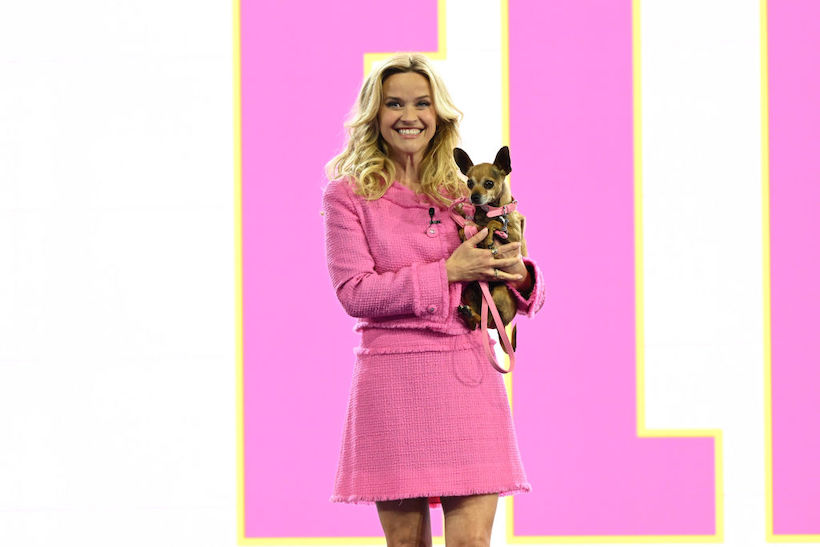 Takeaways from the 2024 Upfronts: Maintaining the Status Quo